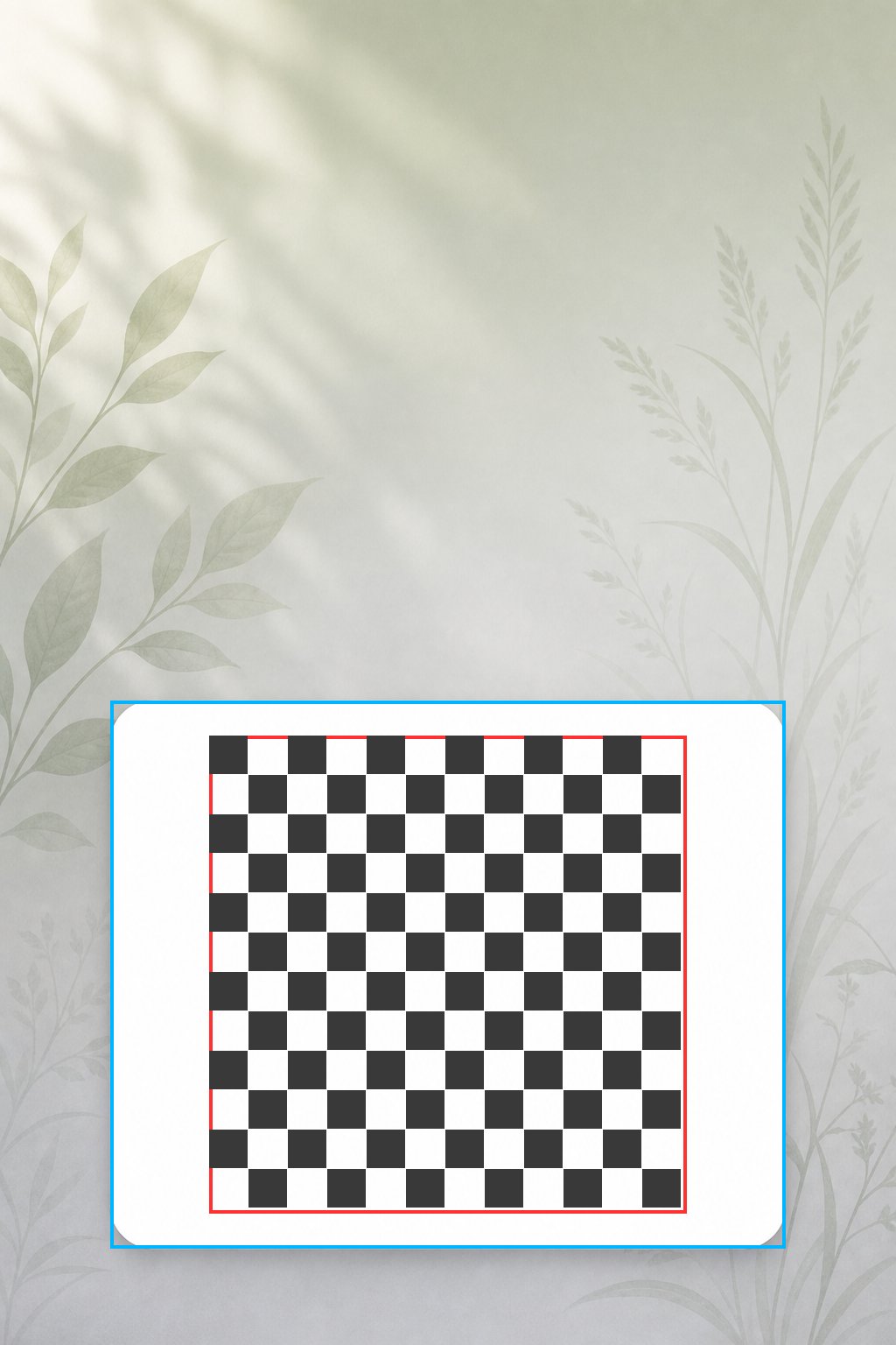 青苔